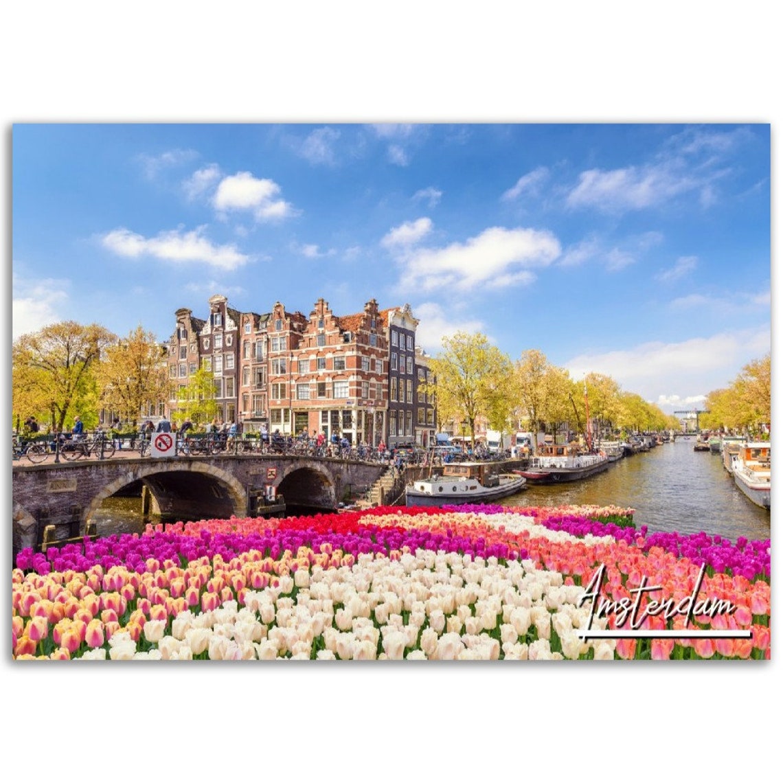 Amsterdam Tulips Canal Netherlands Colorful Spring Photo Poster