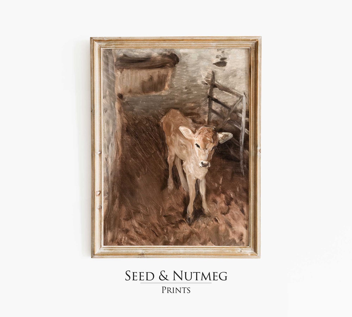 Young Calf Standing in a Rustic Stable Vintage Farm Animal Poster