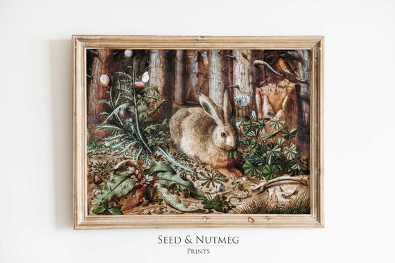 Wild Hare In Forest Undergrowth Vintage Wildlife Animal Art Poster