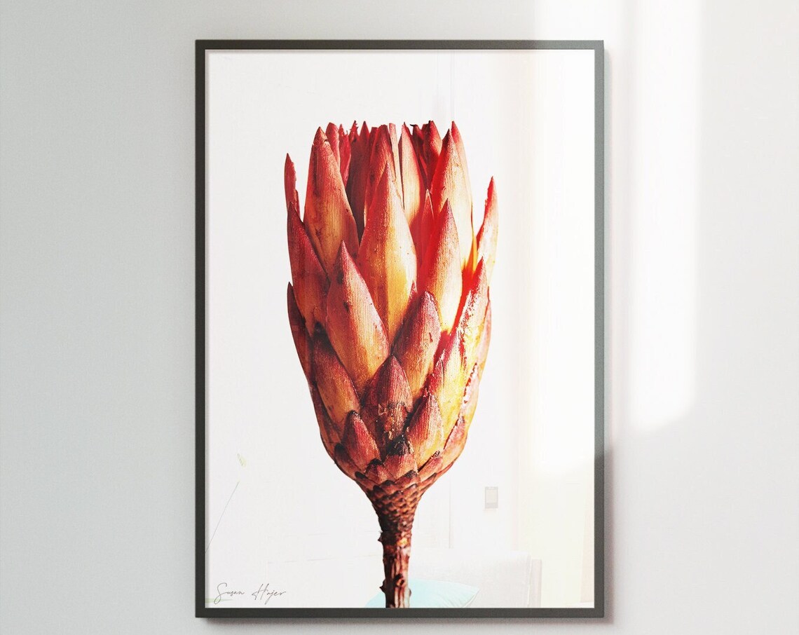 Botanical Print, Minimalist Art
