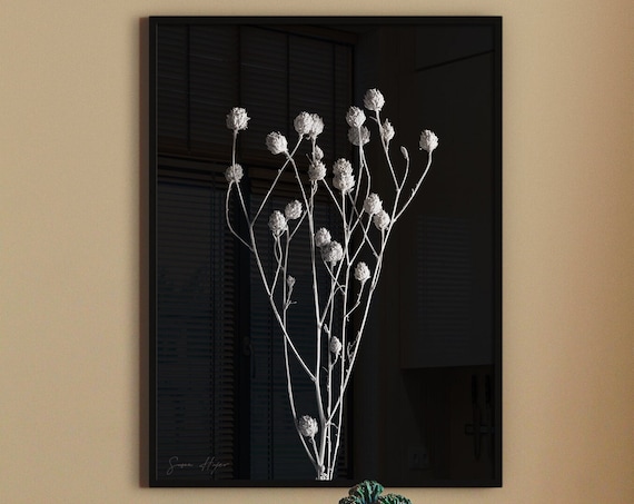 White Dried Flower Stems Black Background Minimalist Botanical Photo Poster