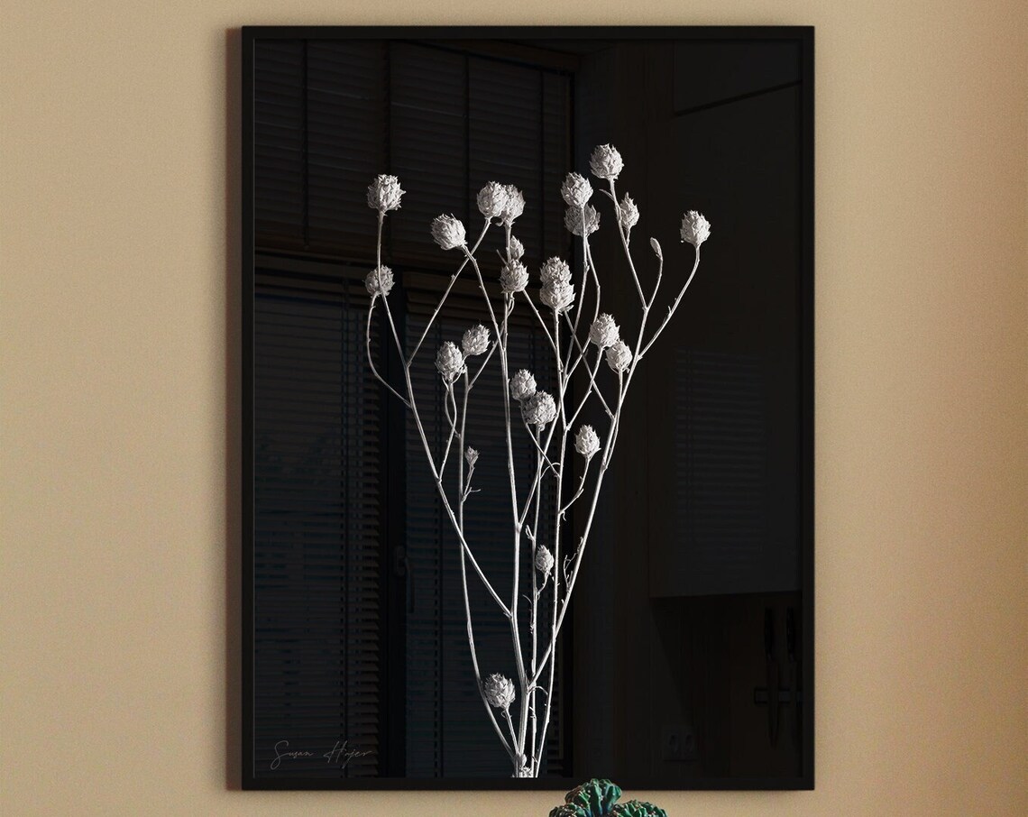 White Dried Flower Stems Black Background Minimalist Botanical Photo Poster