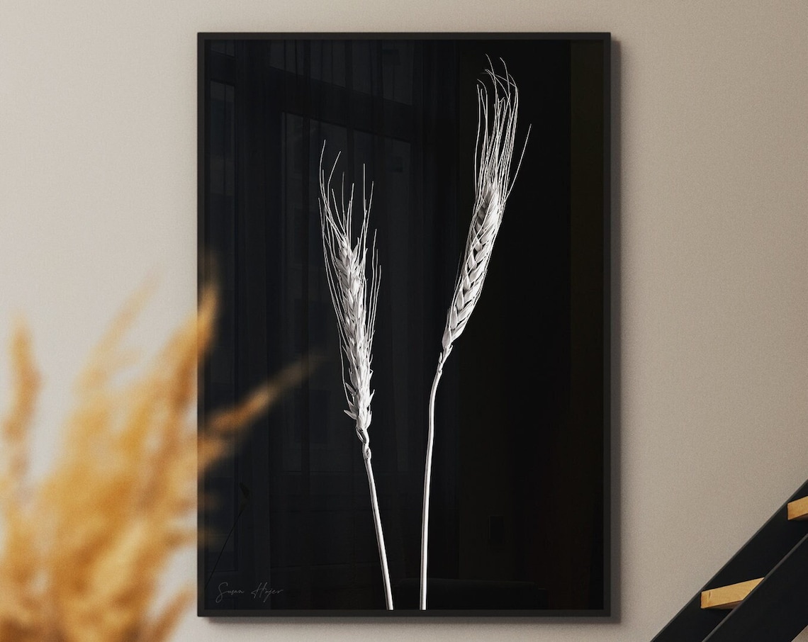 Black Wheat Stems Minimalist Botanical Art Print