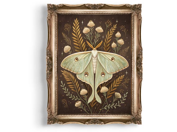 Luna Moth Wall Art Botanical Insect Print Celestial Home Decor Room