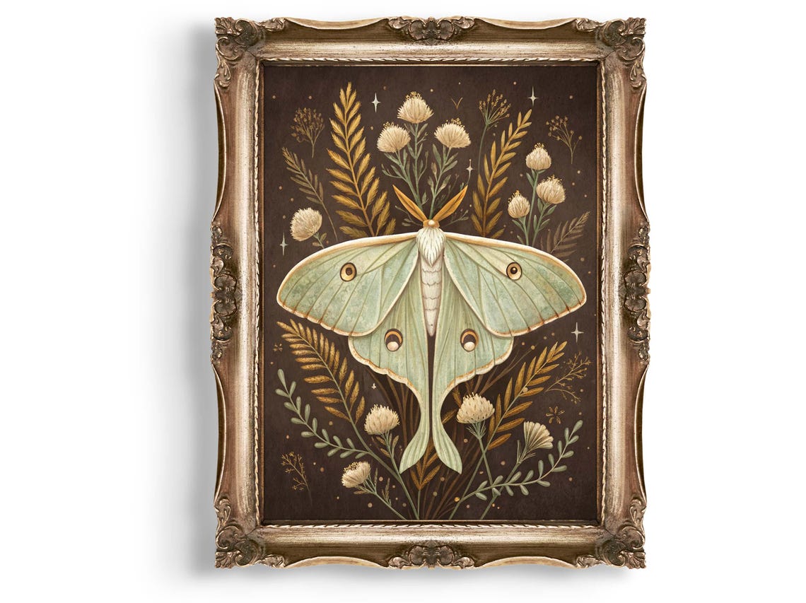 Luna Moth With Golden Thistle Flowers Dark Botanical Wall Art