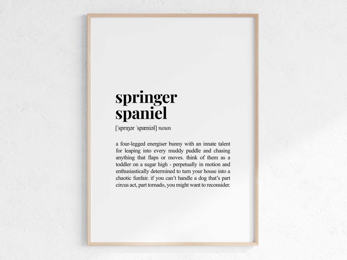 Springer Spaniel Funny Dictionary Definition Poster for Dog Lovers