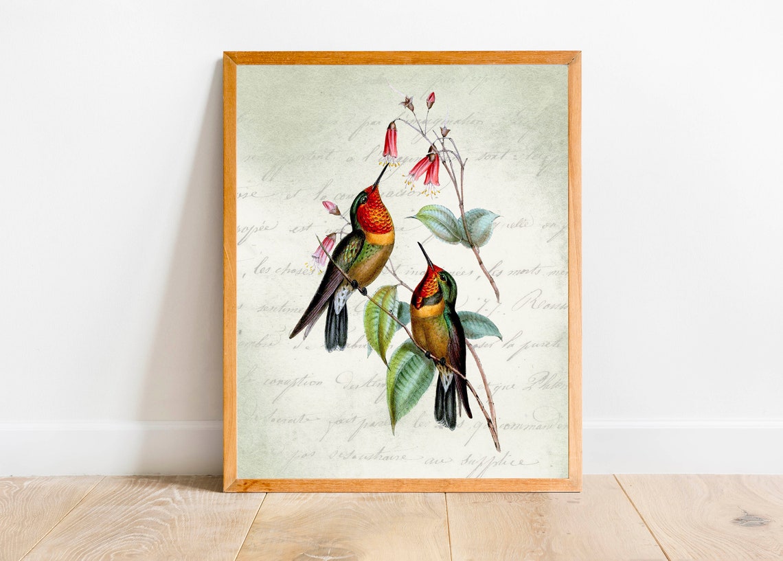 Two Vintage Hummingbirds Floral Botanical Bird Nature Art Print - Image 2