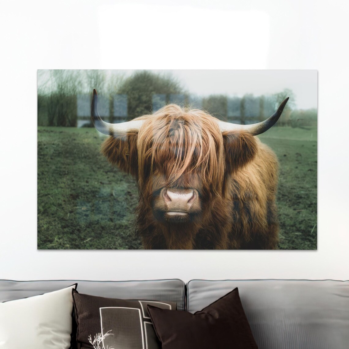 Scottish Highland Cow Portrait Shaggy Brown Cattle Farm Wall Art