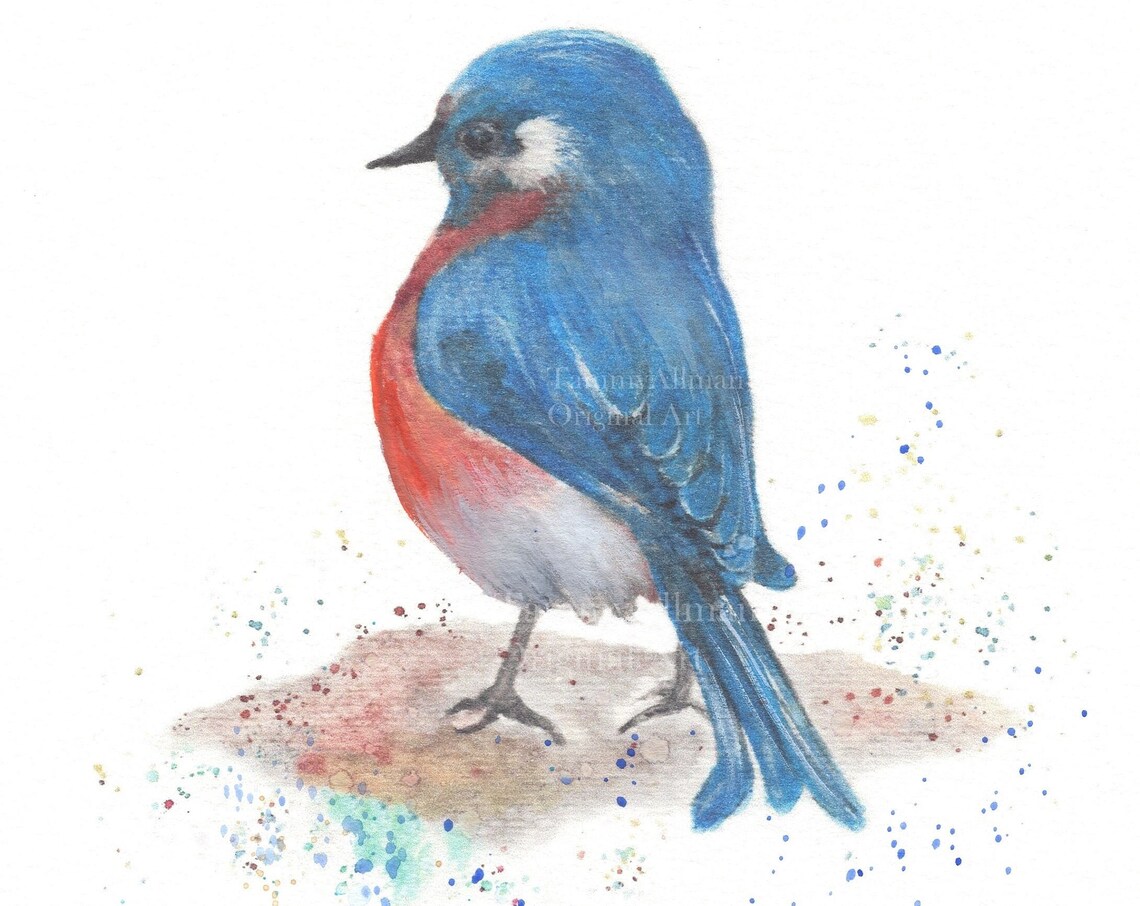 Bluebird Watercolor Art Print, Bluebird Series