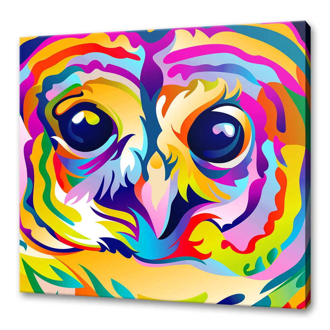 Rainbow Owl Pop Art Portrait Colorful Eyes Close Up Animal Poster