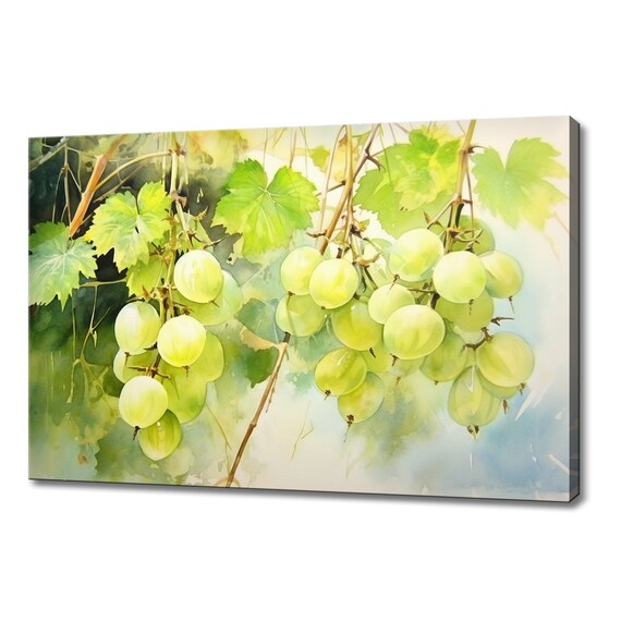 Gooseberry Fruit Branch Watercolour Painting Print Fruits Lover Gift Kitchen Restaurant Wall Art Print Colourful Fruits Wall Decor