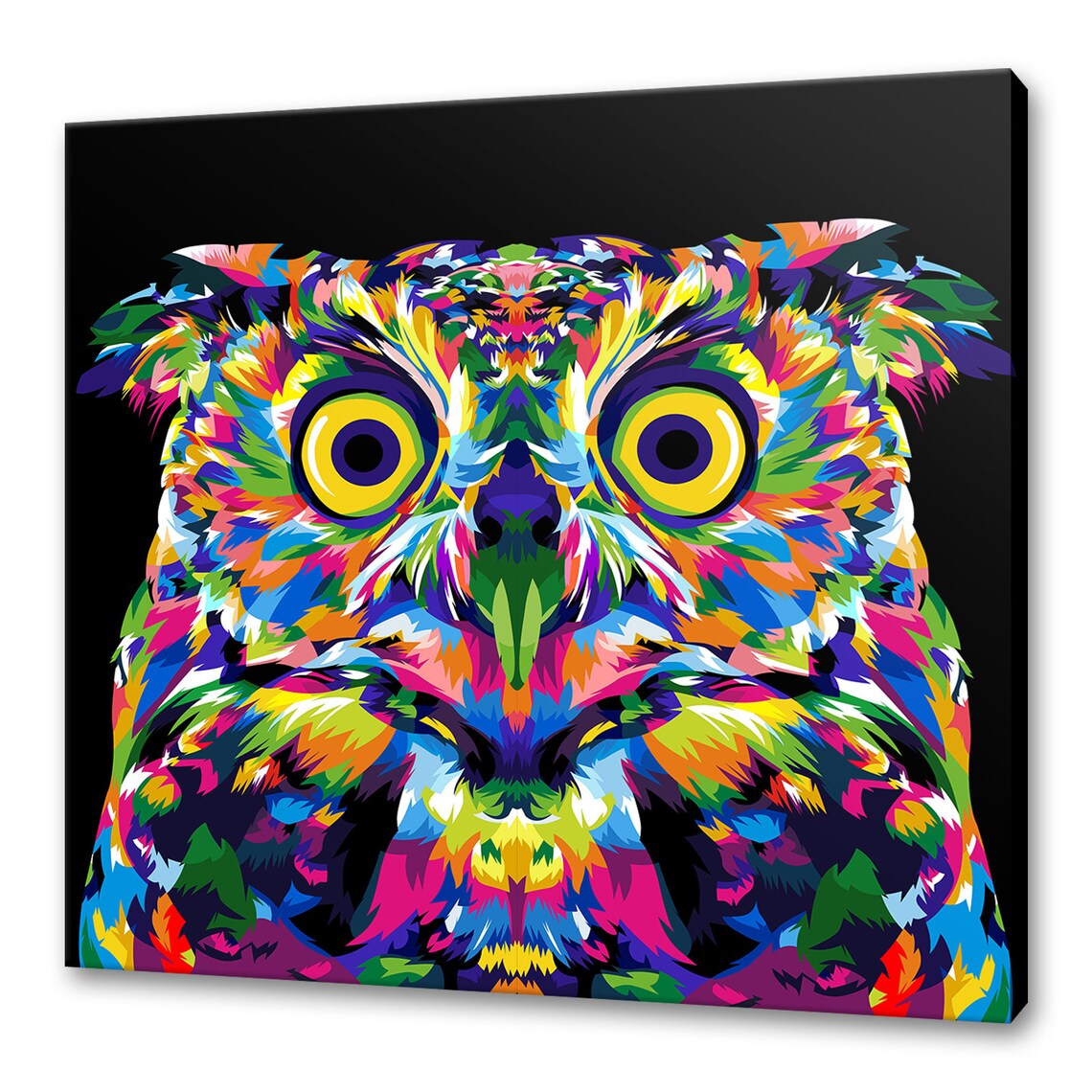 Colourful Owl Art Print for Bird Lovers, Home Decor