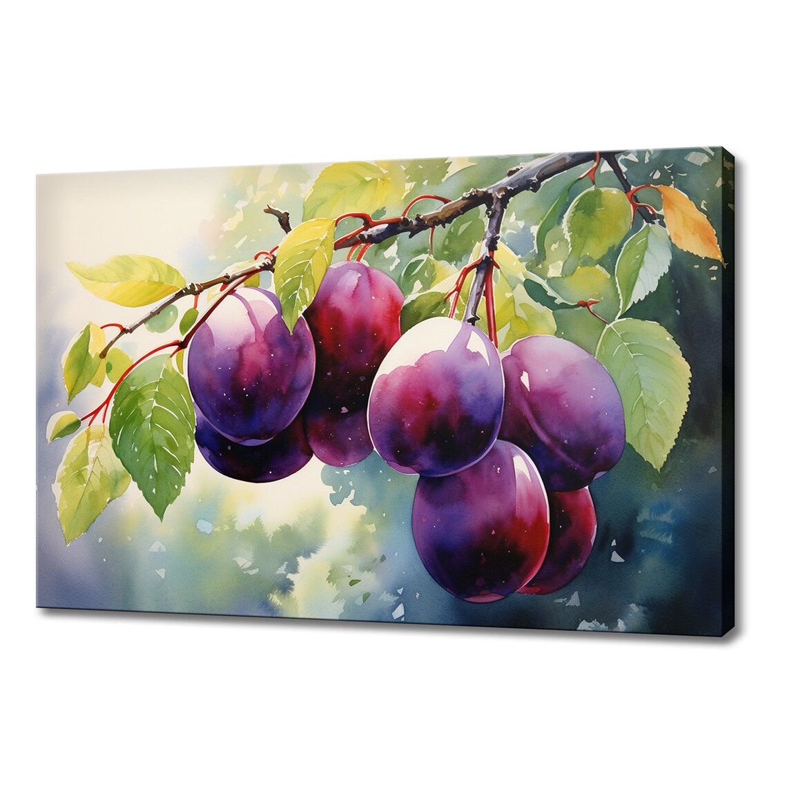 Ripe Plums Branch Watercolor Fruit Orchard Garden Kitchen Art Poster