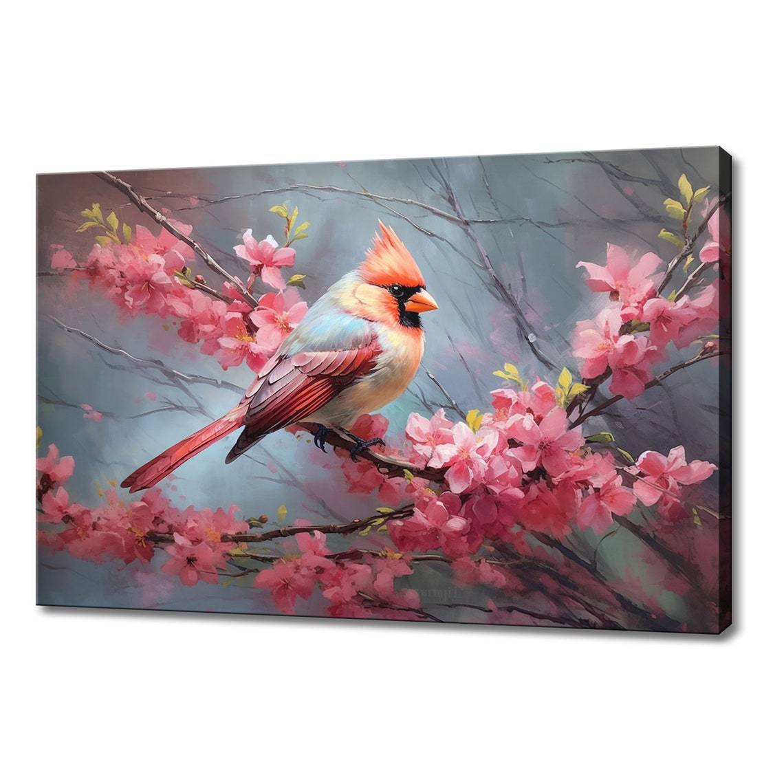 Northern Cardinal Bird On Pink Cherry Blossom Branch Spring Art Poster