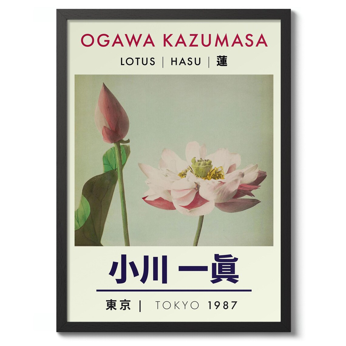 Ogawa Kazumasa Pink Lotus Blossom Tokyo 1987 Vintage Photo Poster