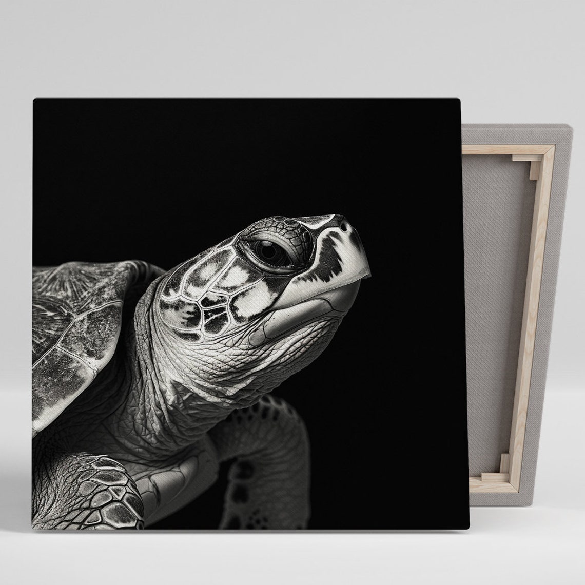 Black White Sea Turtle Portrait Dramatic Dark Background Art Print