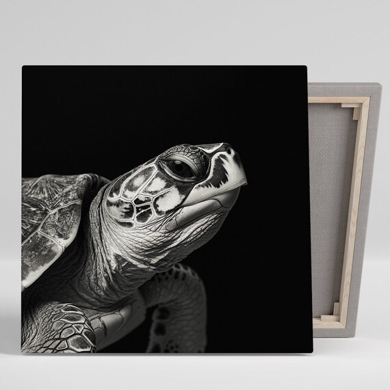 Sea Turtle Wall Art Or Poster Animal Nature Modern Decor Living Room Bedroom Bathroom Office Wall Art Black White Grey Silver