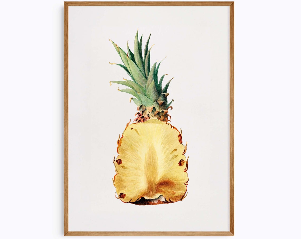 Vintage Botanical Pineapple Half Cut Fruit Illustration Poster