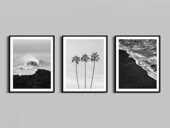 Black and White Coastal Photo Triptych Palm Trees Ocean Waves Poster