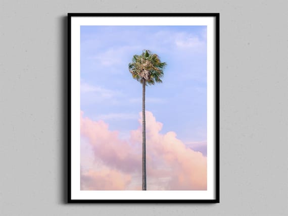 Lone Palm Tree Pastel Sky Fine Art Coastal Photography Poster