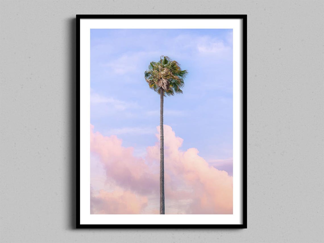 Lone Palm Tree Pastel Sky Fine Art Coastal Photography Poster