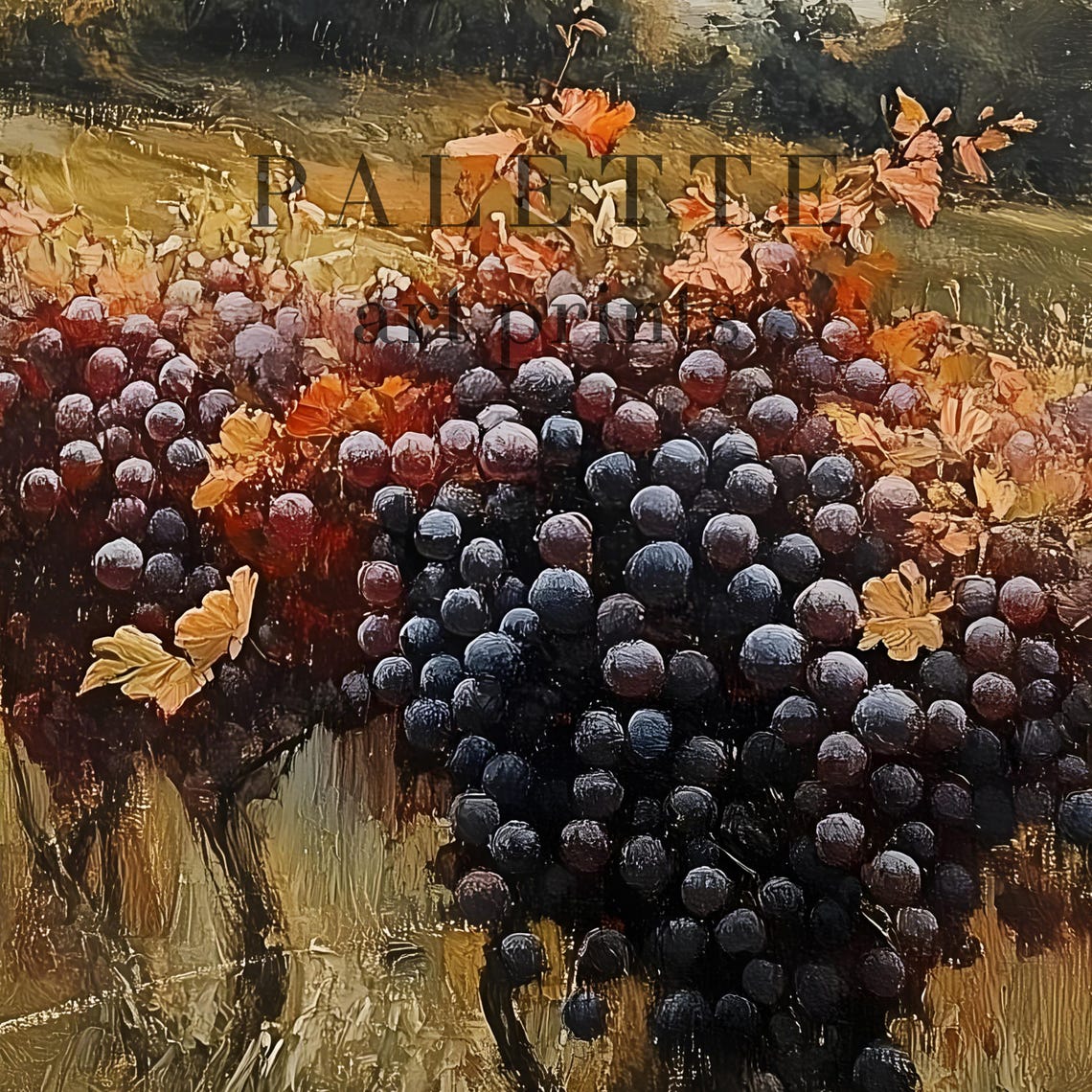 Autumn Vineyard Dark Grapes Farmhouse Harvest Countryside Poster - Image 3