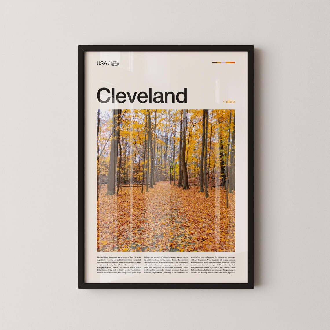 Cleveland Ohio Sunlit Golden Autumn Woodland Forest Photo Poster