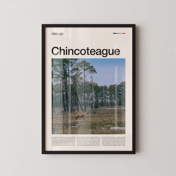 Chincoteague Virginia Wild Pony Bold Title Photo Travel Poster
