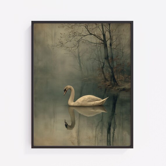 Moody Swan On Serene Pond Vintageinspired Minimalist Wall Art Soft Painterly Fine Photography And Decor 390