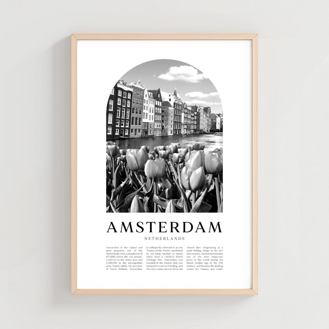 Amsterdam Netherlands Canal Houses Tulips Black White Photo Poster