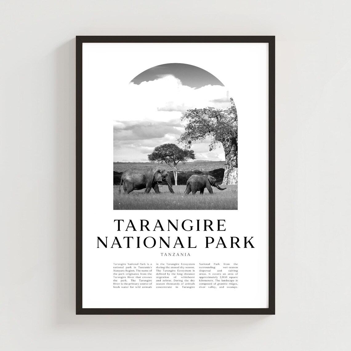 Tarangire National Park Tanzania Elephants Black White Safari Photo Poster