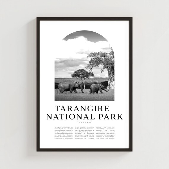 Tarangire National Park Tanzania Elephants Black White Safari Photo Poster