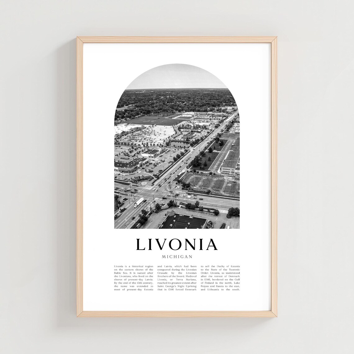 Livonia Michigan Aerial Suburb View Black and White Photo Poster