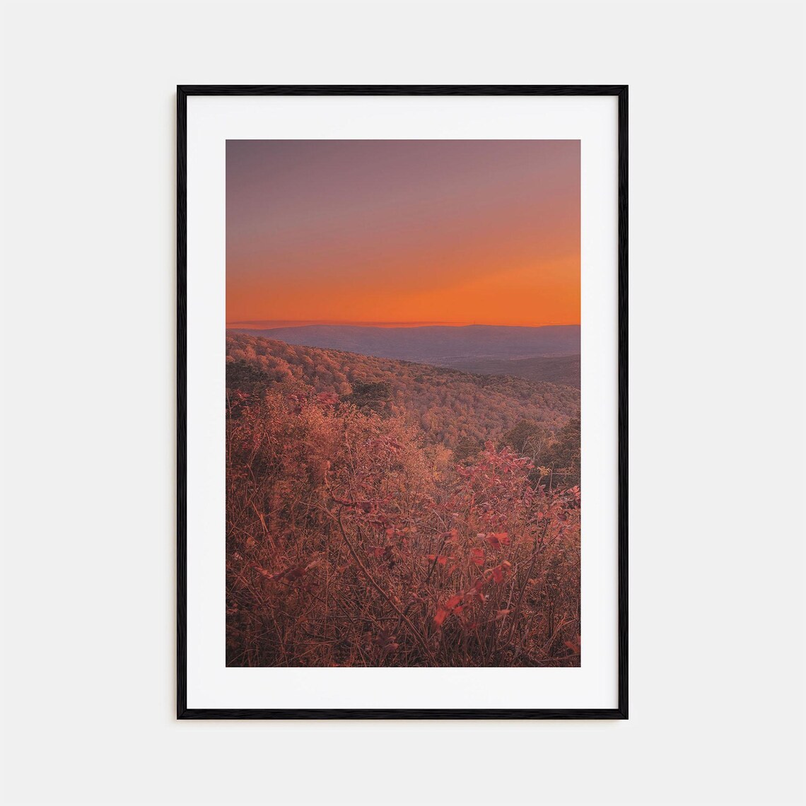 Arkansas Colorful Poster Print No 3 Arkansas Photo Art Arkansas Wall Decor Arkansas Travel Print Arkansas Street Map Poster City Map