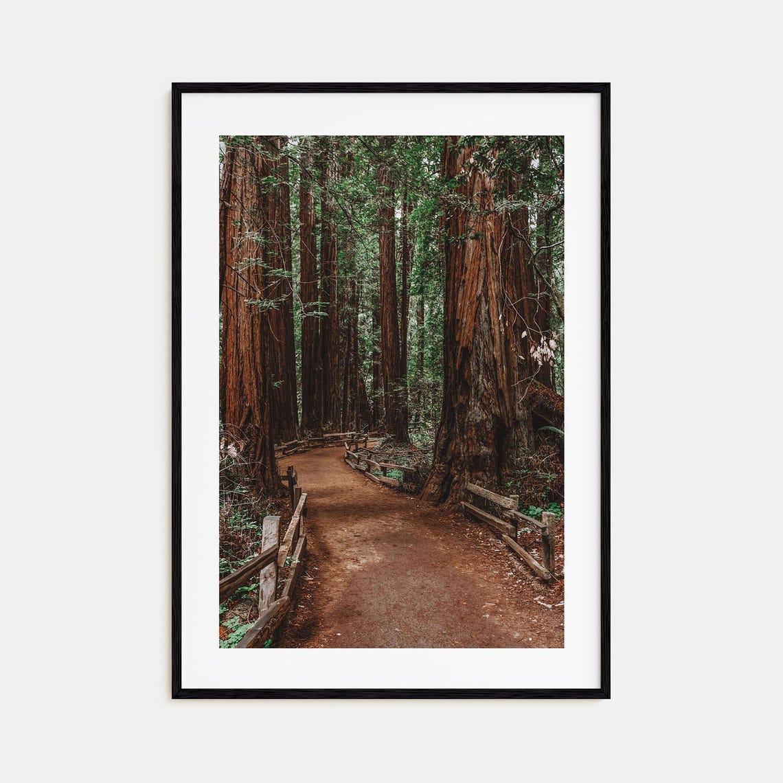 Muir Woods National Monument Colorful Poster Print Muir Woods National Monument Photo Art Decor Travel Print Street Map Poster City Map