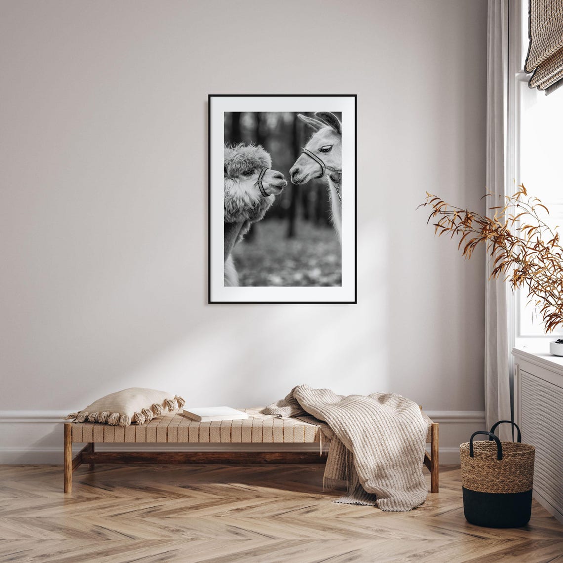 Alpaca And Llama Face To Face Nuzzling Black And White Photo Poster - Image 2