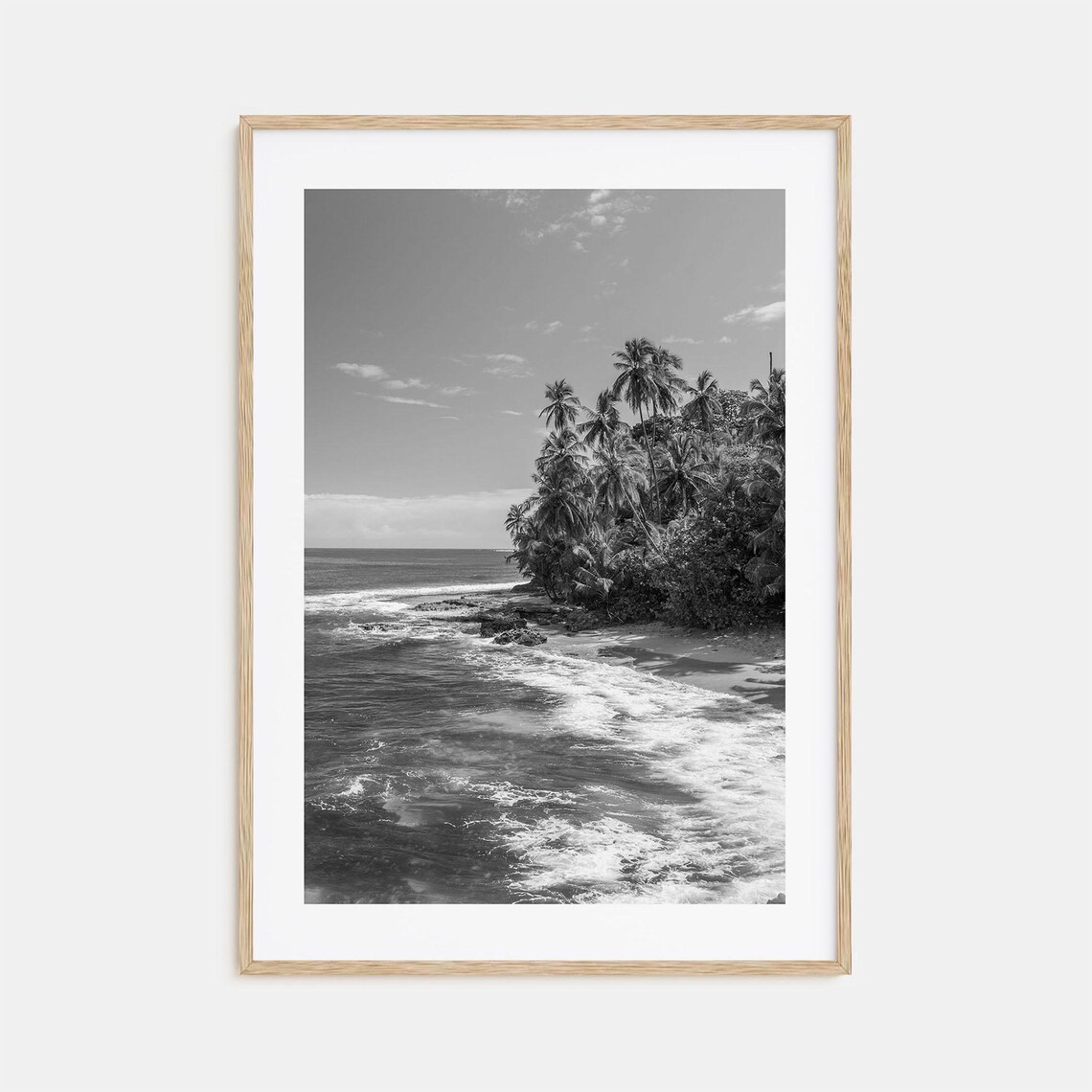 Costa Rica Rocky Shore Palm Trees Ocean Waves Black And White Poster