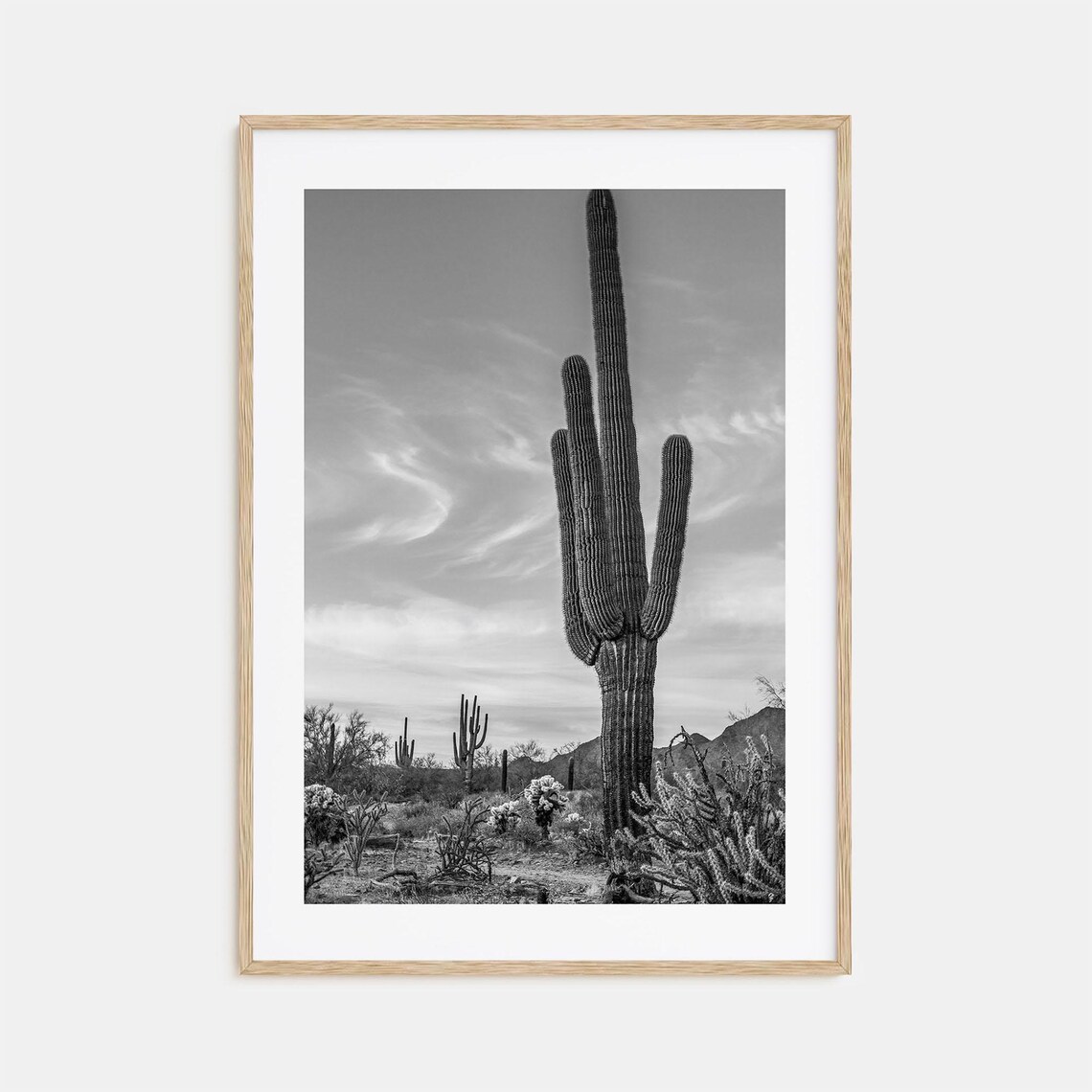 Tall Giant Saguaro Cactus Desert Black and White Southwest Poster
