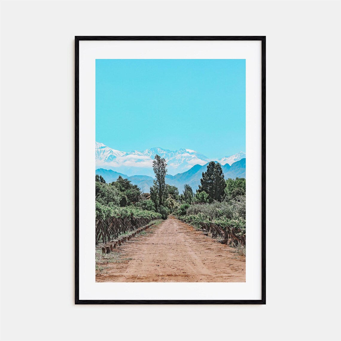 Argentina Andes Vineyard Road Snow Capped Peaks Travel Photo Poster