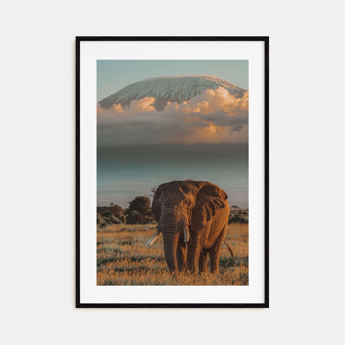 Mount Kilimanjaro Elephant Sunset Safari Africa Wildlife Poster