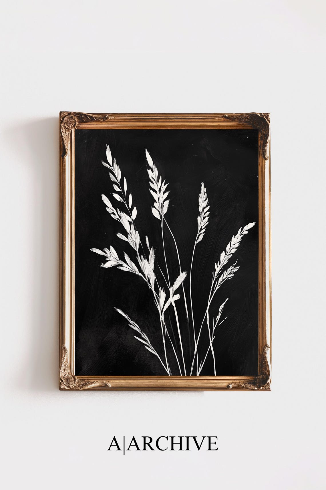 White Grass Stalks Botanical Study Dark Background Modern Art Poster