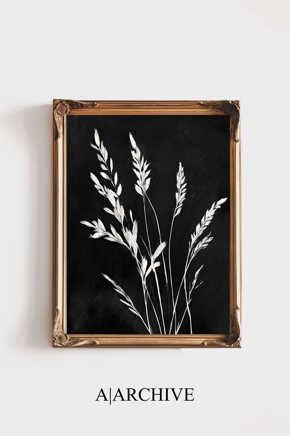 White Grass Stalks Botanical Study Dark Background Modern Art Poster
