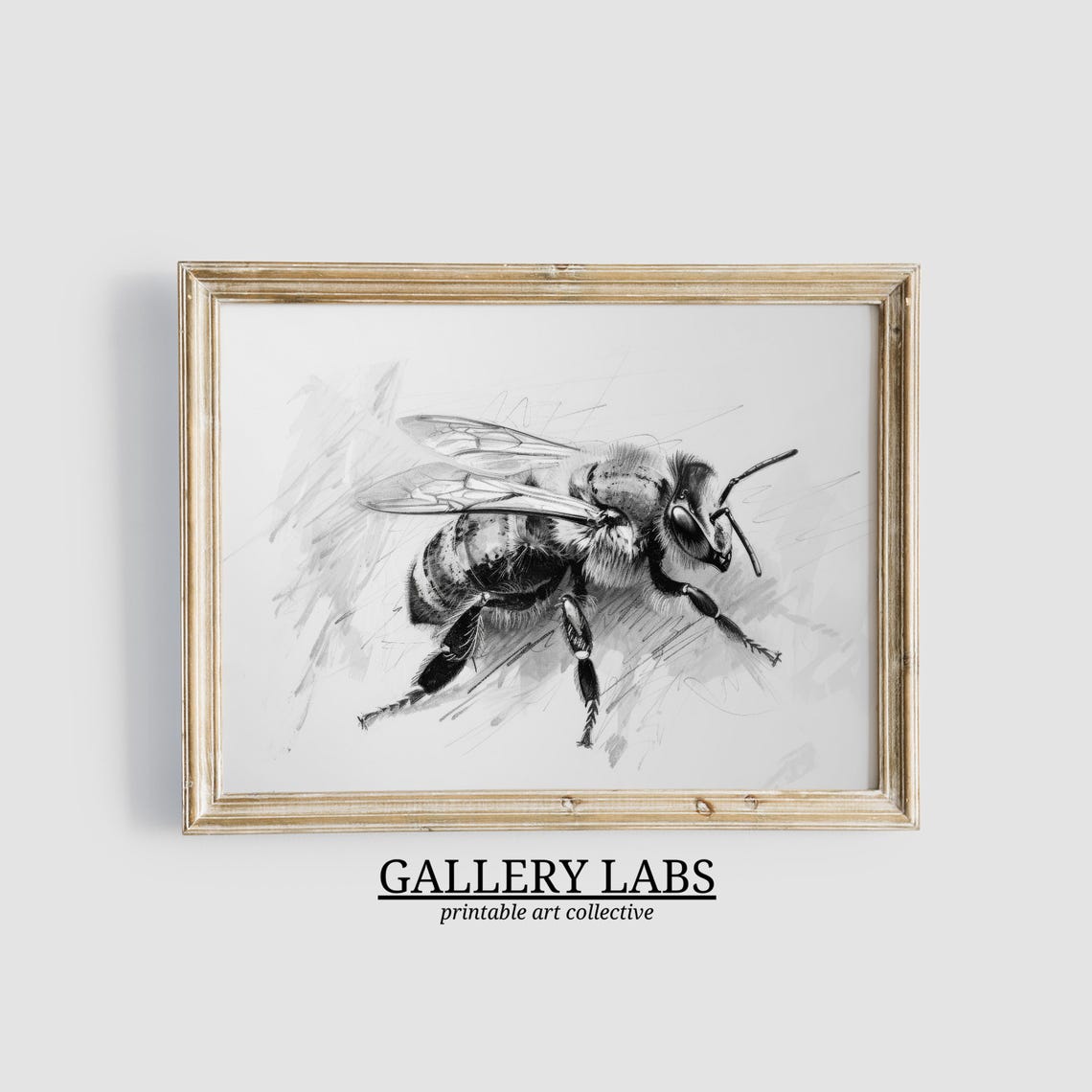 Vintage Honeybee Pencil Sketch Insect Neutral Nursery Wall Art Print