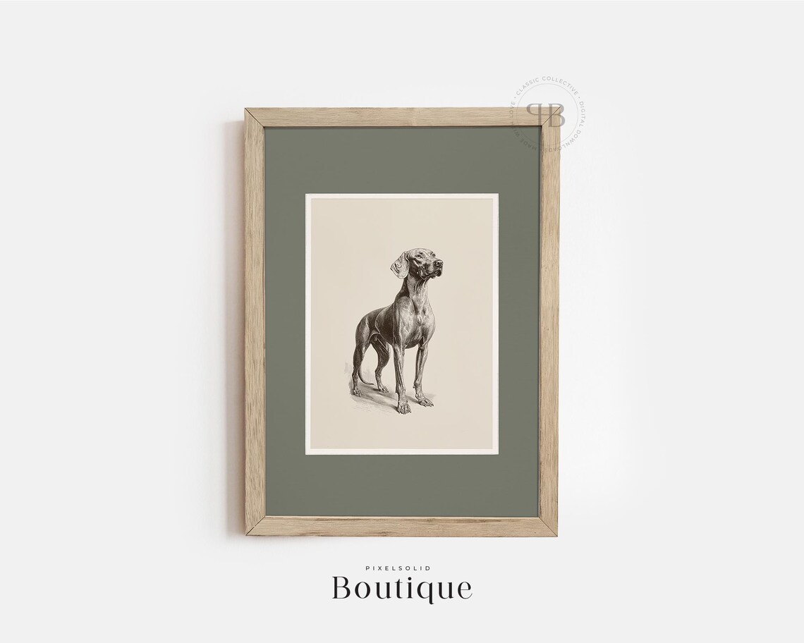 Weimaraner Dog Rustic Vintage Illustration Art Print