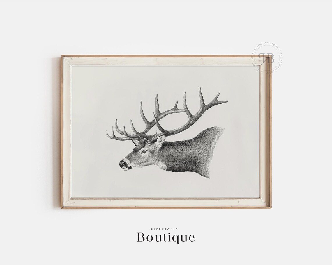 Deer Buck Sketch, Neutral Farmhouse Art Print