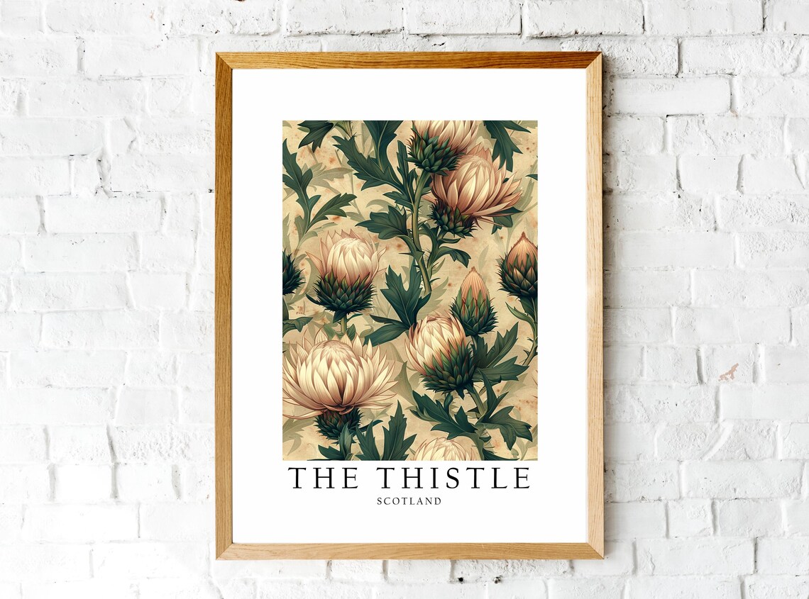 Thistle Scotland National Flower Poster Print