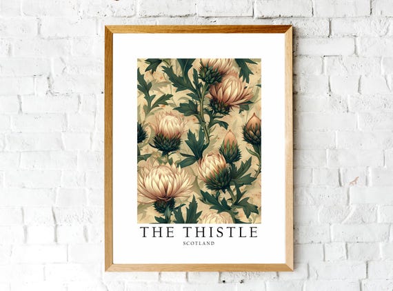 Thistle Scotland National Flower Poster Print