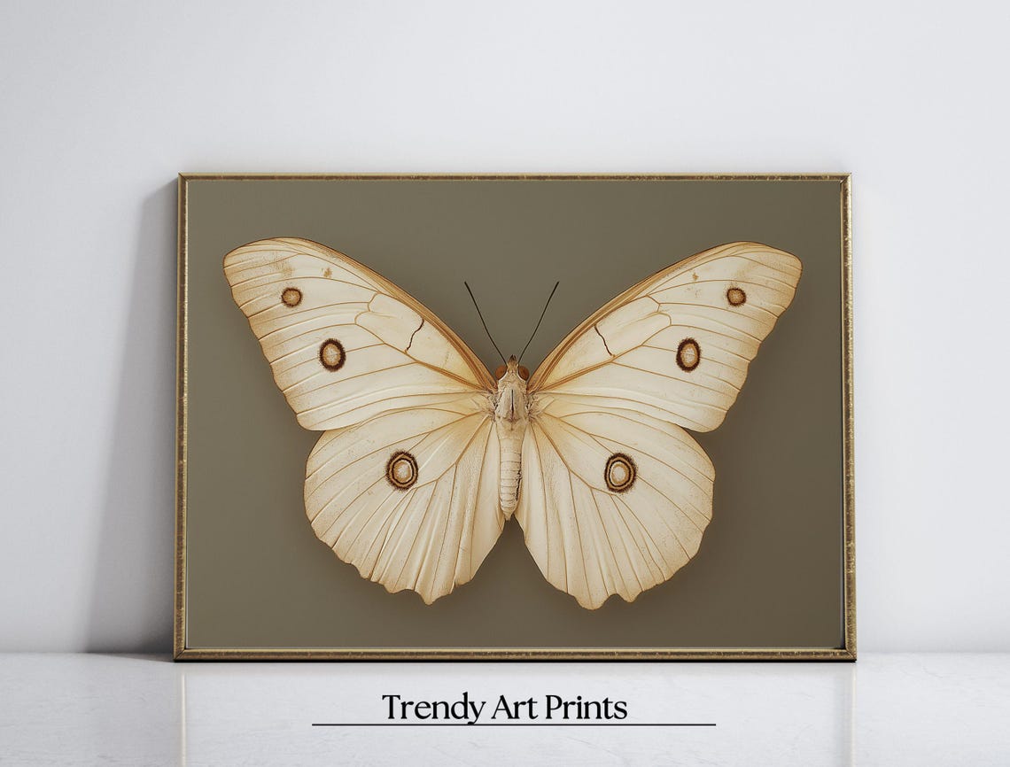 Vintage White Butterfly Specimen Dark Moody Insect Art Print - Image 6