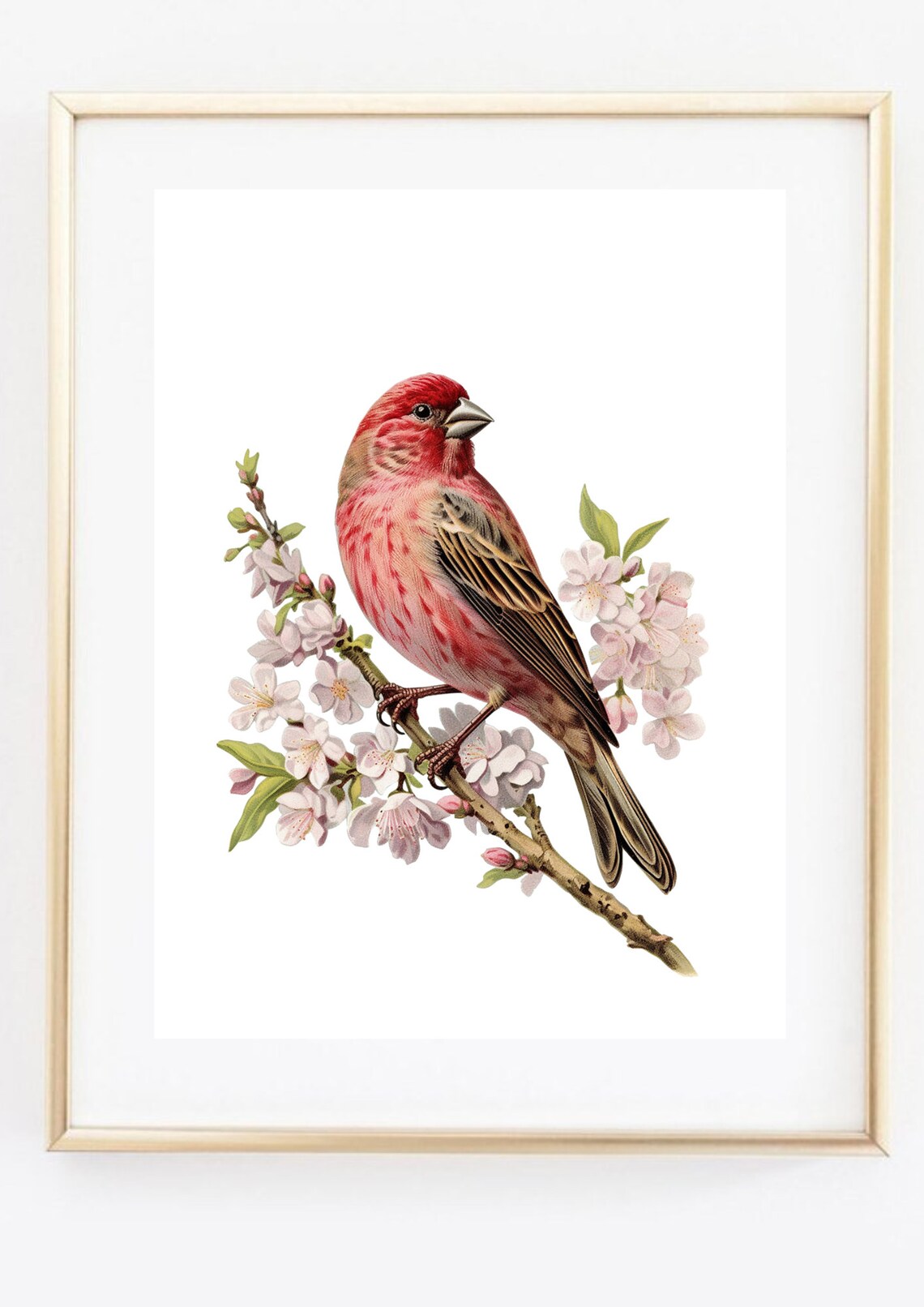 Red Finch Bird On Cherry Blossom Branch Vintage Nature Art Poster - Image 3