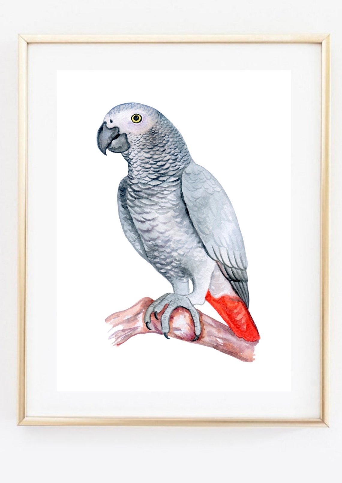 African Grey Parrot on Branch Watercolor Bird Portrait Art Print - Image 3